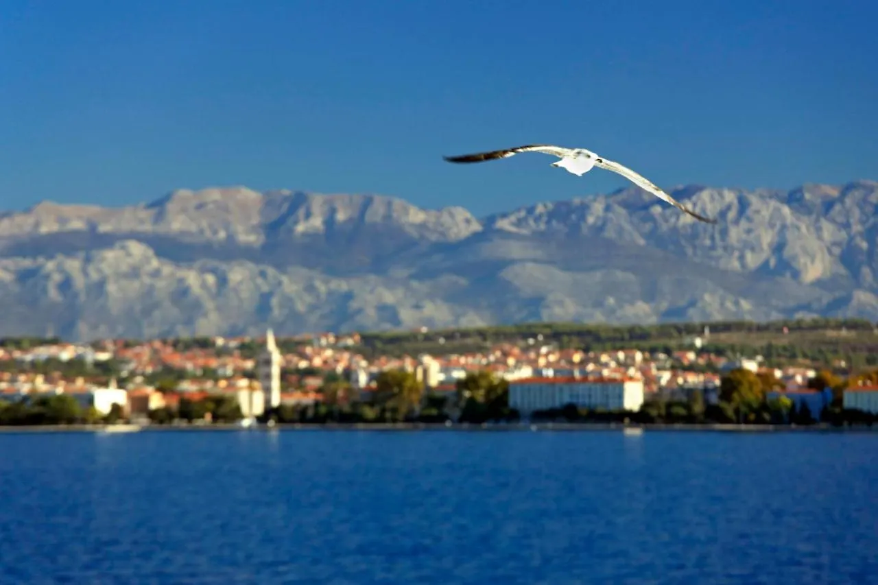 Kuki Apartment With Balcony Zadar Croacia